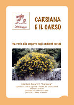 Carsiana e il Carso