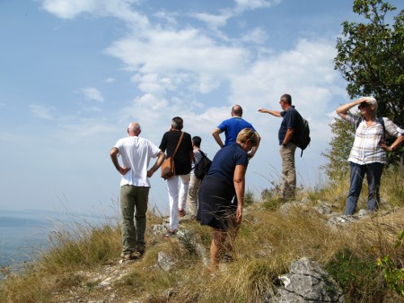 Curiosi Di Natura Cultura Turismo E Tutela Ambientale